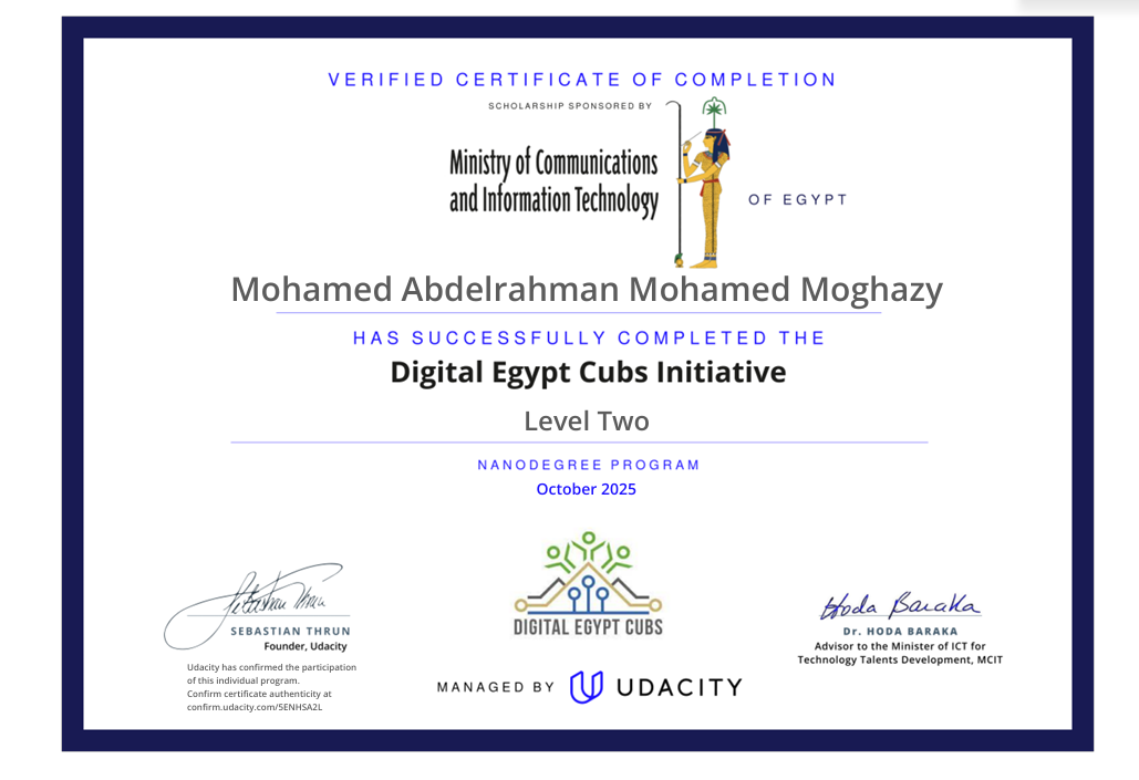 Digital Egypt Cubs Initiative – Level Two