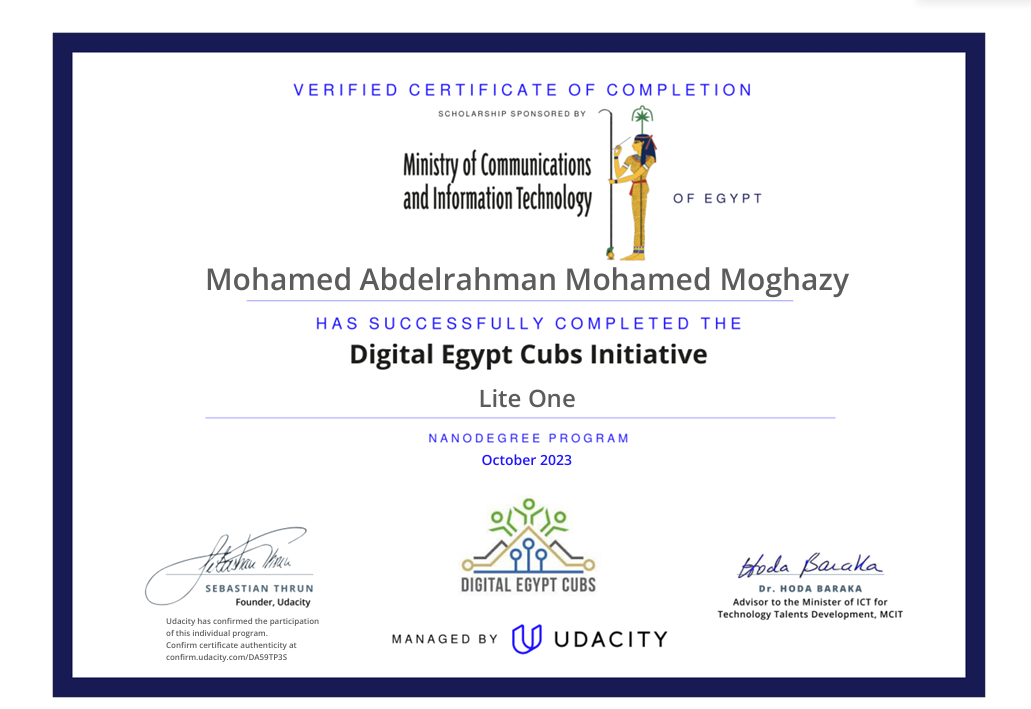 Digital Egypt Cubs Initiative – Level One
